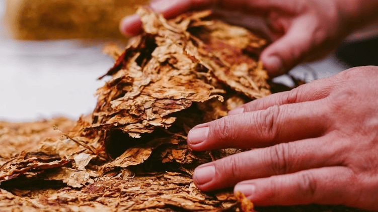 Tobacco Companies in Pakistan